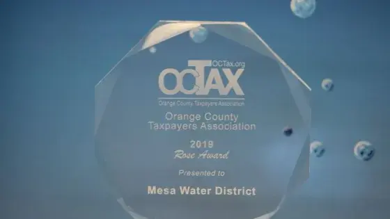 clear glass award